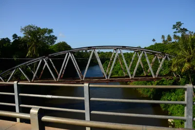 DSC_8484 (Large).JPG